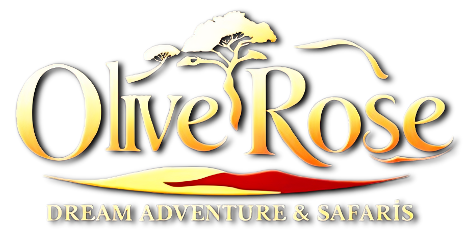 Oliverose Dream Adventure & Safaris