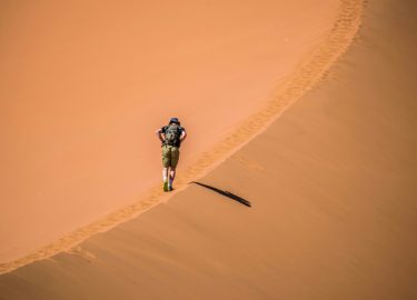 sandwish
